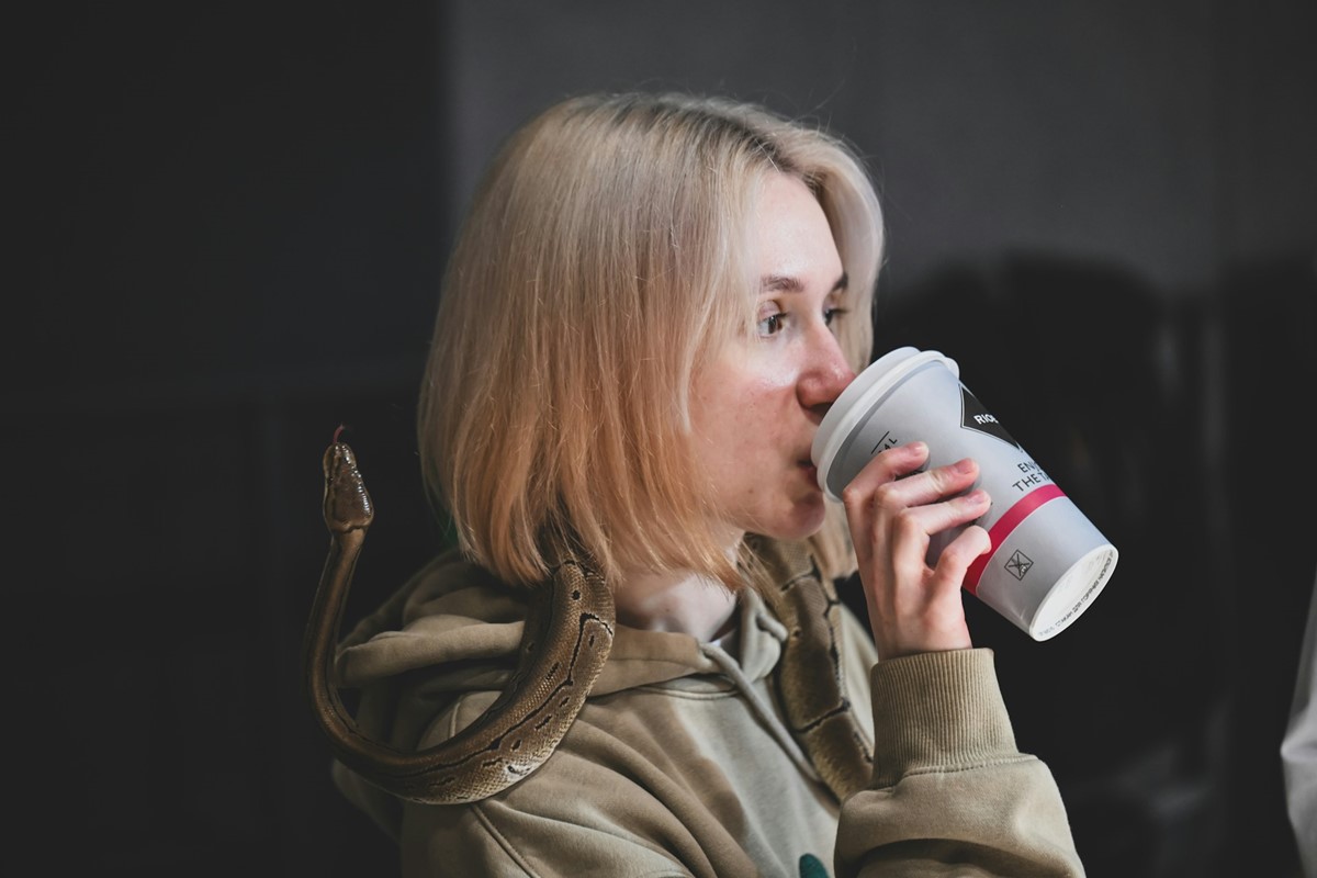 📷 Andrey Strizhkov (Unsplash)